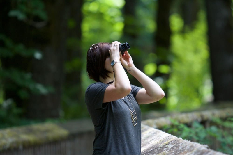 Bird Viewing